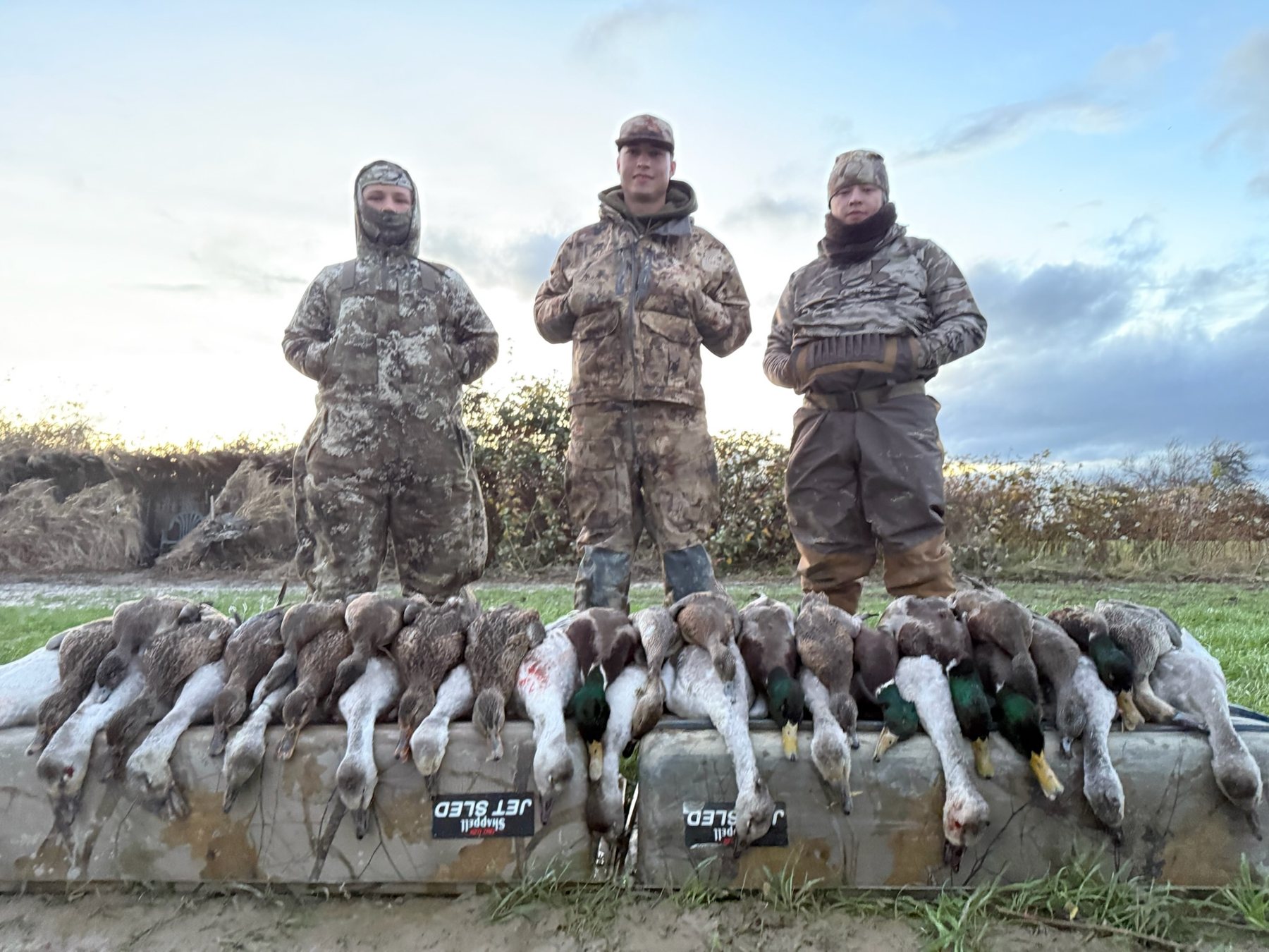 Three hunters standing behind a duck harvest